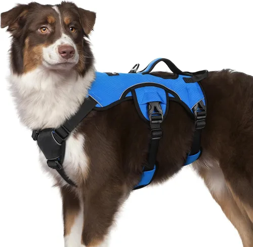 Vista 14 de rabbitgoo - Arnés para perros a prueba de fugas, arnés para mascotas acolchado y suave de cuerpo completo, arnés reflectante ajustable sin tirones
