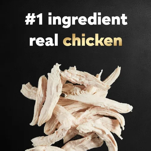 Vista 4 de Comida para perros de raza pequeña seca Cesar, Pollo Made in USA, Real chicken #1 ingredient, 26 essential nutrients, supports small breed health