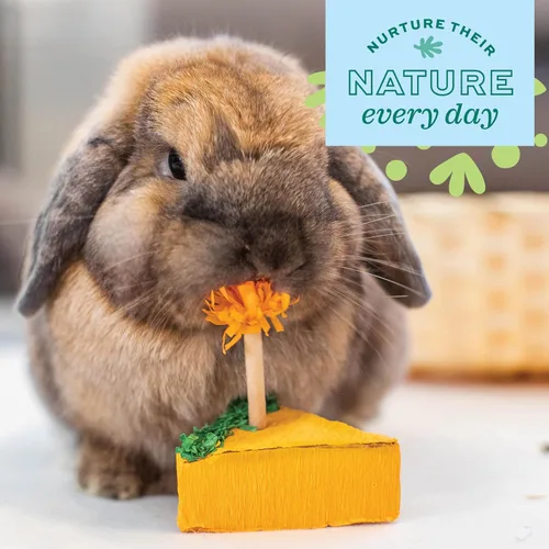 Vista 7 de Oxbow Birthday Party Pack, Rabbit & Guinea Pig Toys, Bunny Enrichment Toys Juguetes para masticar conejos, Enriquecimiento de conejillo de indias
