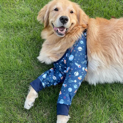 Vista 4 de Protector de codo para perro, manga larga para recuperación de articulaciones del perro, manga larga para evitar lamer heridas, coderas largas