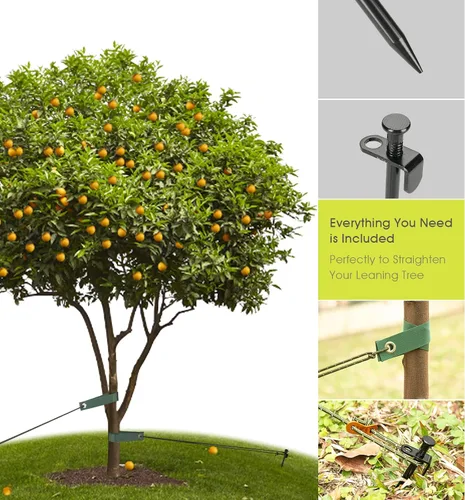 Vista 2 de Kit de estacas de árbol resistente, estacas de acero de 11.8 pulgadas y soportes para árbol joven, antiviento fuerte, kit de enderezamiento