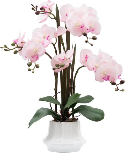 Vista 12 de CXGS Planta de orquídeas artificiales de 20.9 pulgadas, orquídeas artificiales de tacto real en jarrón de cerámica, arreglo floral de Phalaenopsis