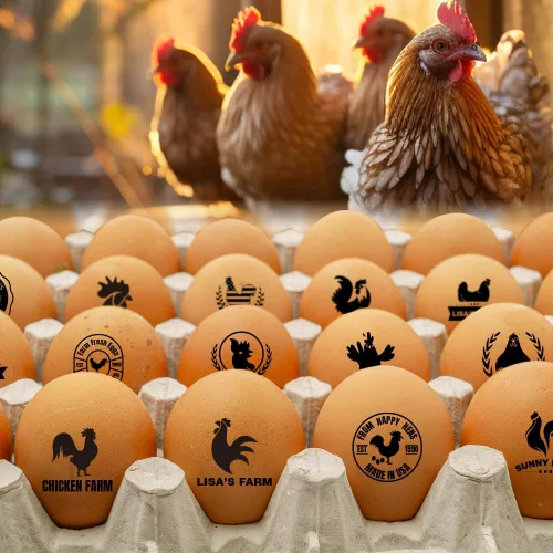 Vista 6 de ORYG Sellos de huevos personalizados, sello de huevo personalizado de larga duración, marcadores de diseño increíble, sellos de huevos grandes
