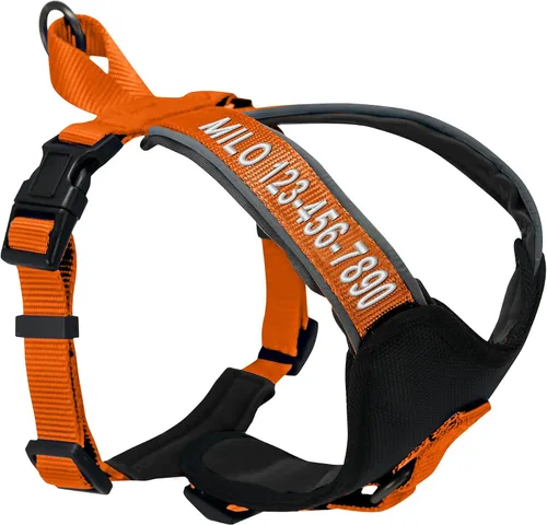 Vista 18 de Arnés para perro Pawtitas para entrenamiento de suave, ajustable, reflectante, acolchado para cachorros, Azul