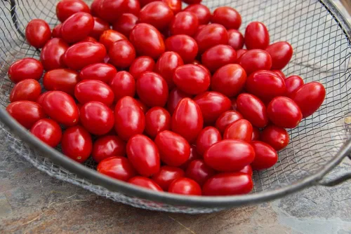 Vista 2 de Paquete híbrido de frijoles de tomate - Aprox. 30 semillas