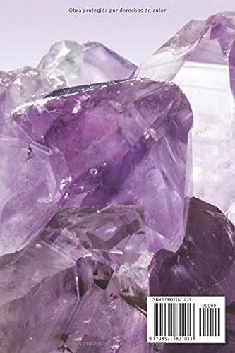 Vista 2 de ROCAS Y MINERALES. MI DIARIO DE REGISTRO Lleva un seguimiento detallado de todas tus muestras Regalo creativo para amantes de la Geología
