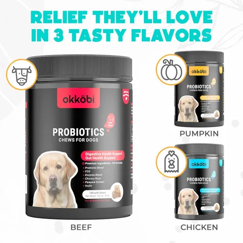 Vista 7 de Probióticos masticables para perros, 150 unidades, apoyo digestivo, para la salud intestinal y la diarrea, masticables probióticos para perros