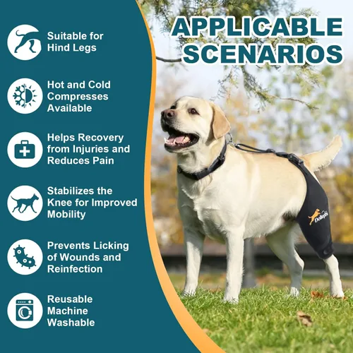 Vista 5 de Rodillera Dollephi para Perro para Pierna Trasera Desgarrada ACL, Compresa Caliente/Fría para Luxación de Rótula u Osteoartritis, Lesiones