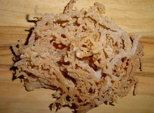 Vista 5 de Musgo marino natural (crudo) 2 oz - Musgo irlandés (CHONDRUS CRISPUS) NDQ