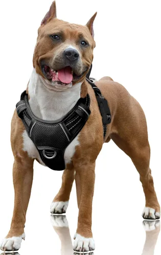 Vista 68 de BARKBAY Arnés para Perro Sin Tirones Talla Grande Arnés Reflectante para Perro con Clip Frontal y Asa de Control Fácil para Caminar Entrenar Correr