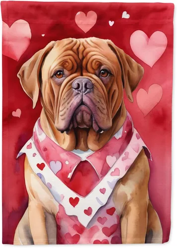 Vista 135 de Caroline's Treasures DAC5252GF Affenpinscher - Bandera de jardín con texto en inglés "My Valentine", bandera decorativa para patio exterior, patio