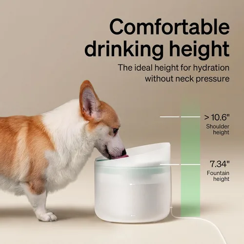 Vista 7 de Fuente de agua PETLIBRO para perros, fuente de agua para perros medianos a grandes, antisalpicaduras, ultra silenciosa + filtros de repuesto
