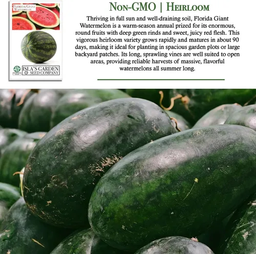 Vista 3 de Cultiva enormes sandías gigantes de Florida, más de 25 semillas de reliquia sin OMG de Isla's Garden Seeds, melones masivos de 40 a 50 libras