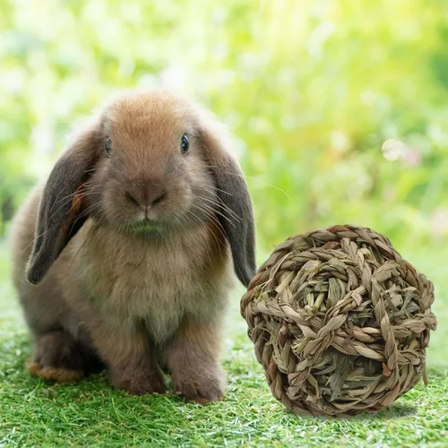 Vista 3 de Pelota de hierba de conejo Timothy 6 piezas, bola de hierba natural de conejito Timothy tejida a mano, juguetes para masticar, animales pequeños