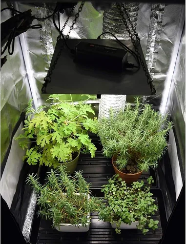 Vista 5 de Horticulture Lighting Group HLG 65 V2 4000K 65W Lámpara LED de Crecimiento de Tablero Cuántico para Plantas de Interior Veg & Bloom con Alta