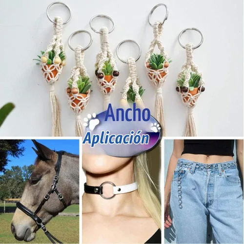 Vista 5 de FANDAMEI Anillo O de metal, 50 piezas de plata multiusos de metal para macramé, camping, correas de perro, hardware, bolsas y más proyectos