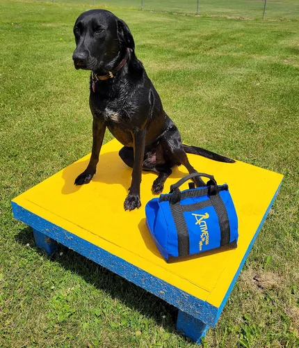 Vista 2 de ActiveDogs Agility - Bolsa de arena grande de baja gravedad, capacidad de bolsa de 20 #, alforja no restrictiva para estabilizar el túnel