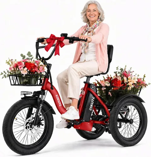 Vista 13 de Bicicleta eléctrica para adultos, triciclo de 1200 W de potencia máxima y batería extraíble de 499.2 Wh, neumáticos gruesos de 18x3.0, bicicleta