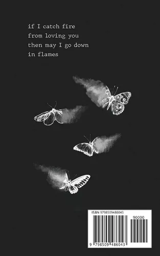 Vista 2 de chasing wildfires the journey of loving an addict