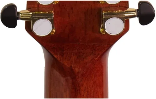 Vista 9 de Luna Vista Eagle - Guitarra eléctrica acústica de 12 cuerdas con estuche