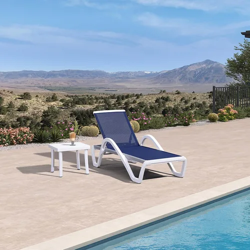 Vista 38 de PURPLE LEAF Patio Chaise Lounge - Silla con brazos de plástico
