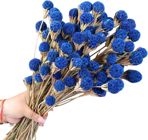 Vista 9 de 40 flores de cardo seco azul, ramo floral natural de 17 pulgadas
