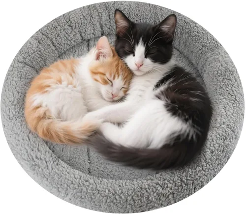 Vista 11 de LESYPET Cama para gatos de interior, cojín de sueño rizado con almohada elevada alrededor, alfombrilla lavable para mascotas