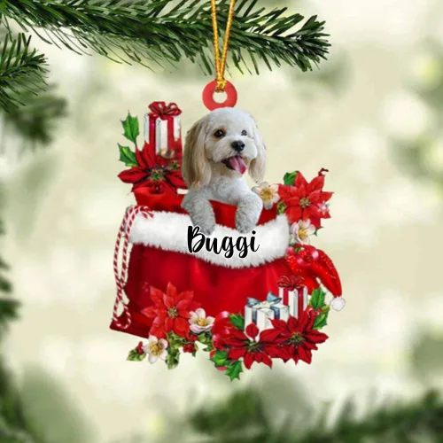 Vista 117 de Perro Akita Inu personalizado en bolsa de regalo, adorno de Navidad, nombre personalizado, regalo para amantes de los perros, familia, Navidad