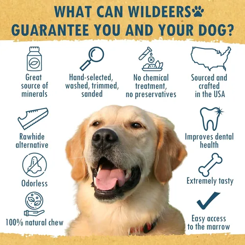 Vista 5 de Wildeers Cuernos divididos para perros medianos, paquete de 2, fabricados en Estados Unidos, cuernos de alce de grado A, huesos masticables