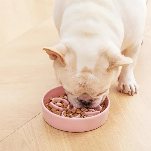Vista 7 de vancasso Cuencos de alimentación lenta de cerámica para perros, cuencos de comida para perros con rompecabezas con laberinto floral, plato Rosa