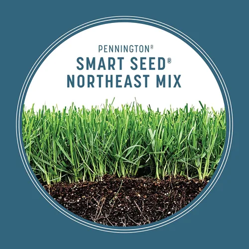 Vista 5 de Pennington Smart Seed - Mezcla de semillas para césped del noreste, 20 libras