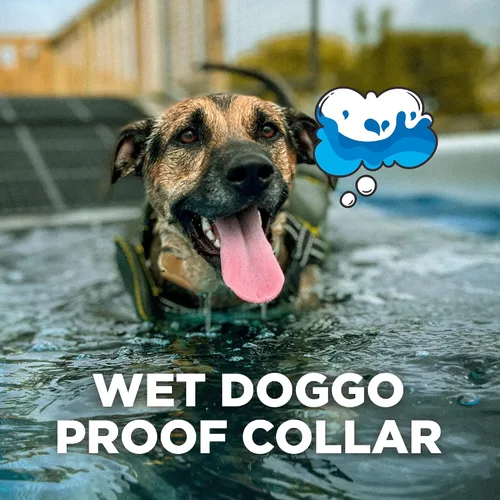 Vista 4 de Dogtra CUE Verde – Collar electrónico para entrenamiento de perros con control remoto – Entrenamiento hecho fácil para dueños de perros cotidianos