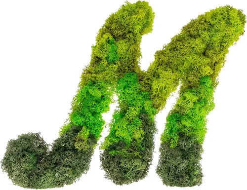 Vista 5 de Iniciales de monograma preservadas Moss Letter Art Design & Decor Arreglo de pared - Personalízalo