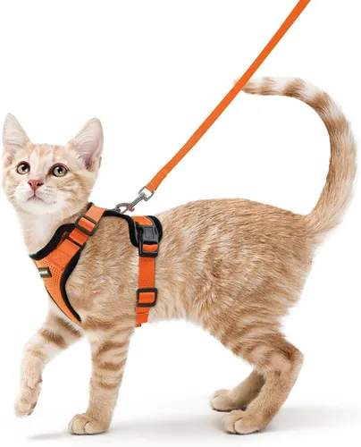 Vista 79 de rabbitgoo Cat Harness and Leash Set, Escape Proof Vest, Berry Pounce