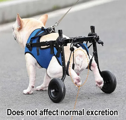 Vista 4 de Silla de ruedas ajustable para patas traseras, soporte de pierna de perro y soporte de cadera, sillas de ruedas para mascotas/perros con patas