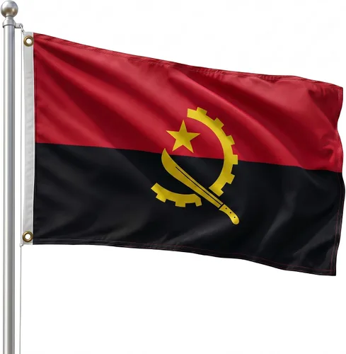Vista 106 de DMSE - Bandera nacional beninesa beninesa de la República de África Occidental, 2 x 3 pies, 100 % poliéster, 100 % poliéster, resistente a los rayos