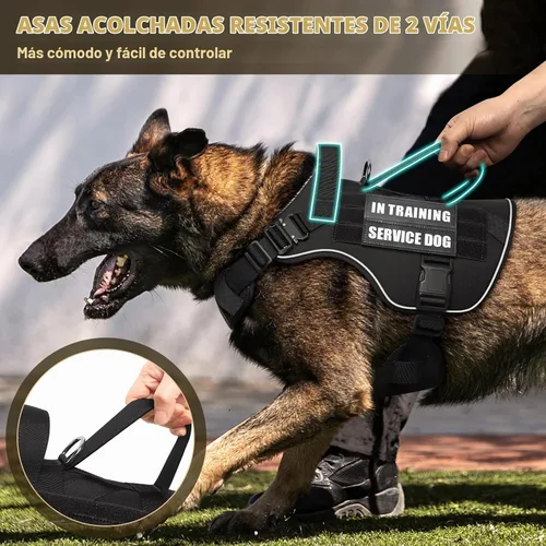 Vista 4 de WINSEE - Chaleco para perro Molle con hebilla de metal, 2 unidades, con 10 parches para mascotas Tactical Dog Harness for Medium Dog, No-pull