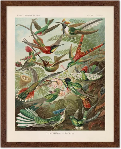 Vista 107 de Poster Master Póster vintage de James Audubon – Impresión retro de amargo americano – Arte de aves de América – Regalo para hombres, mujeres