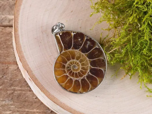 Vista 7 de Gemhub SK-002 - Collar con colgante de caracol de piedra natural de amonita fósil de caracol de plata de ley 925 para mujeres y hombres