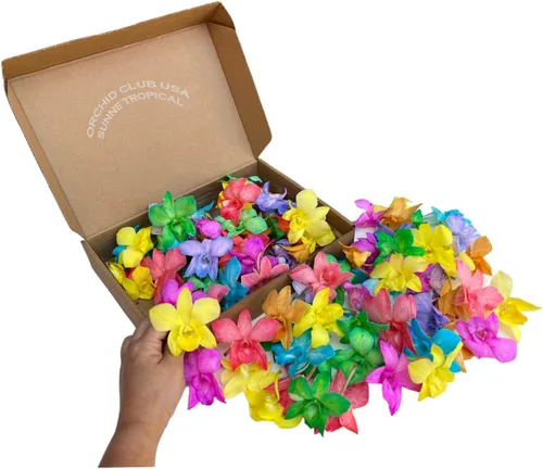 Vista 6 de Miami Fresh Orchid Flores perecederas de floración suelta OrchidClub USA Sunne Tropical DIY lei, decoración de alimentos y bebidas (100 azul)
