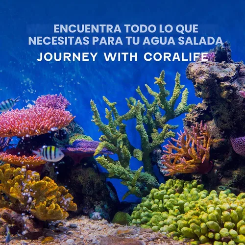 Vista 4 de Coralife BioCube - Tanque de peces para acuario de agua salada, 15 galones Sal de acuario para nano acuario, neutraliza el cloro y la cloramina