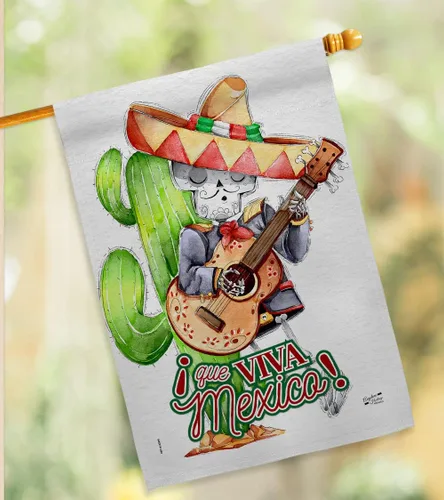 Vista 9 de Que Viva - Bandera de casa de México, fiesta de verano del Cinco de Mayo, cactus y piñata, sombrero para fiesta mexicana al aire libre, pancarta