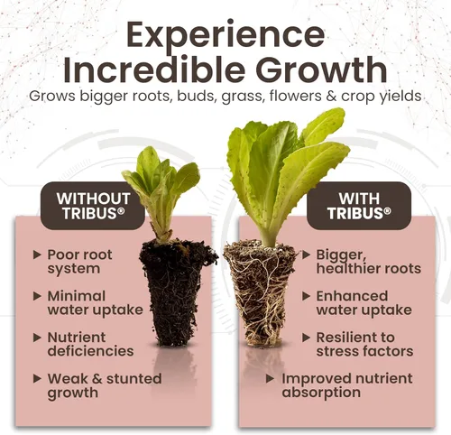 Vista 5 de Tribus - Inoculante microbiano orgánico Potenciador de raíces para plantas, aumenta el rendimiento de las plantas, el crecimiento de las raíces