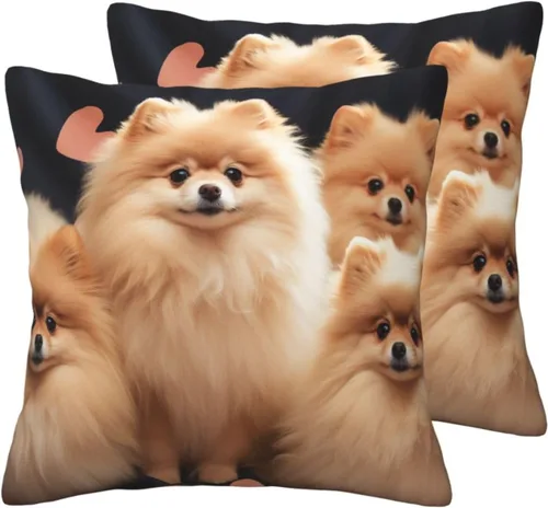 Vista 2 de Fundas de almohada con estampado de cachorros de Pomeranians de 16 x 16 pulgadas, funda de cojín suave y acogedora funda de almohada decorativa