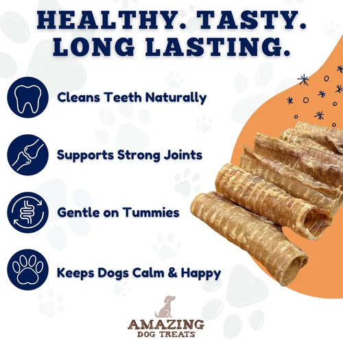 Vista 4 de Amazing Dog Treats - Masticables para perros con tráquea de carne de res de 6 pulgadas (5 piezas - 8 onzas) - Golosinas para perros de tráquea - SIN