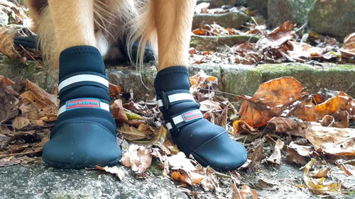 Vista 12 de Botas protectoras para patas de perro en neopreno, para todos los climas, con correas retráctiles en 5 tamaños., Negro