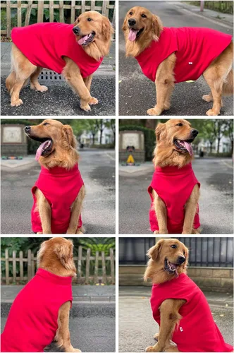 Vista 5 de Chaleco de invierno para perro, cálido, transpirable, chaleco de forro polar para perro, abrigo de invierno ligero con agujero para correa