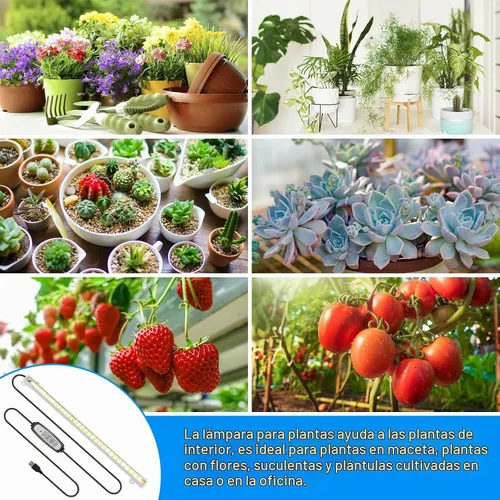 Vista 6 de Sondiko - Tira de luz de crecimiento, espectro completo para plantas
