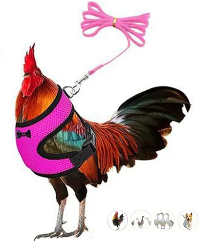 Vista 8 de Juego de arnés y correa para pollo, malla ajustable, transpirable, arnés de entrenamiento de pato, correas para mascotas, correas para ganso Negro