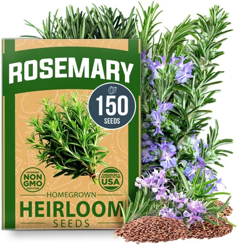 Vista 59 de HOME GROWN Semillas de zinnia rosa – 300 zinnias Luminosa 0.5g, semillas anuales de flores fáciles de cultivar para plantar al aire libre para 2026